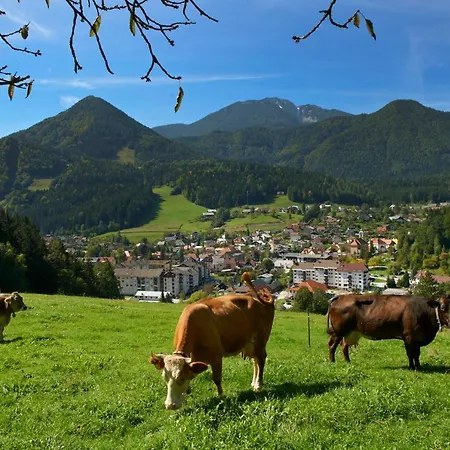 Bed & Breakfast Bikeski Family Hotel, B&b, Apartaments, 3*