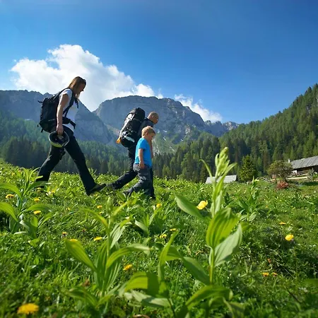 Bikeski Family Hotel, B&b, Apartaments, Couette-café Mezica