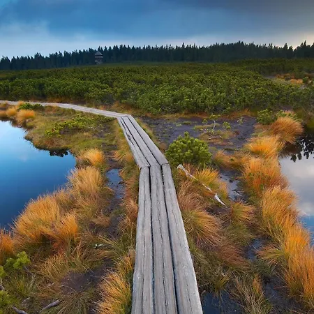 Bikeski Family Hotel, B&b, Apartaments, Mezica