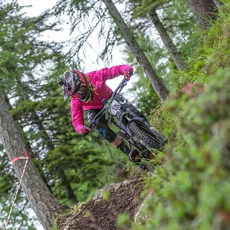 Bikeski Family Hotel, B&b, Apartaments, Mezica