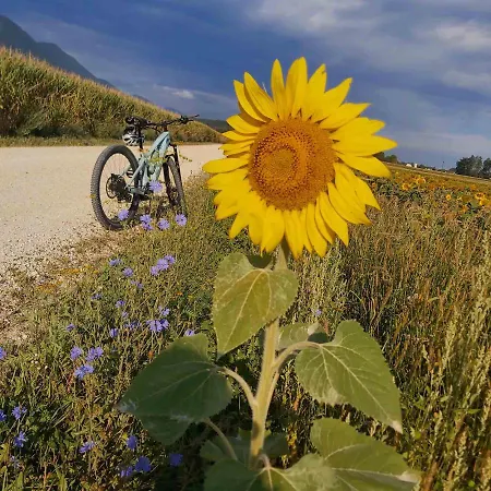 Bikeski Family Hotel, B&b, Apartaments, Mezica