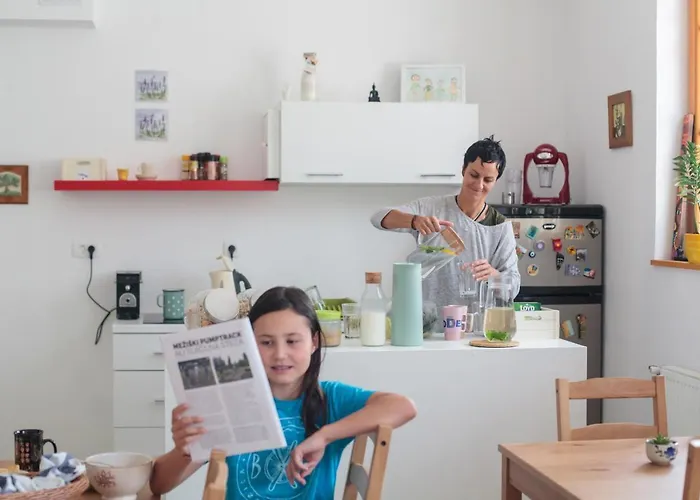 Bikeski Family Hotel, B&b, Apartaments, Mezica