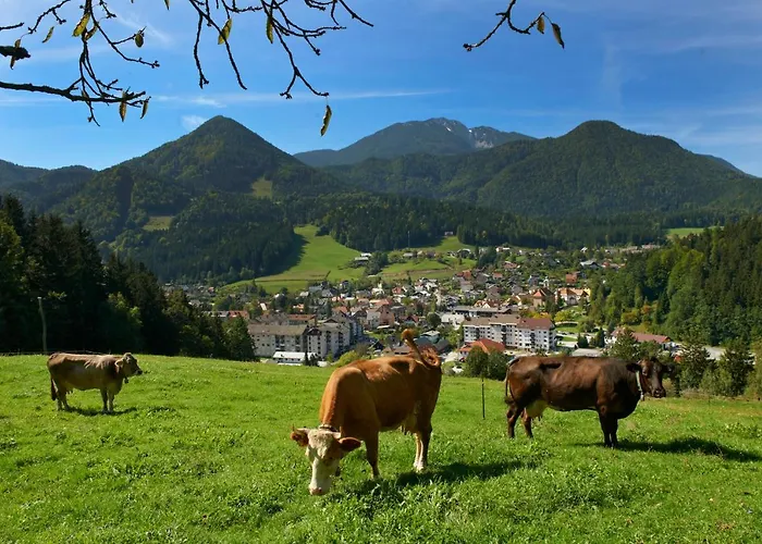 فندق مبيت وإفطار Bikeski Family Hotel, B&b, Apartaments, 3*