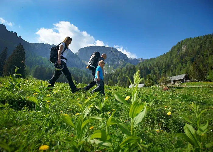 Bikeski Family Hotel, B&b, Apartaments, فندق مبيت وإفطار Mezica