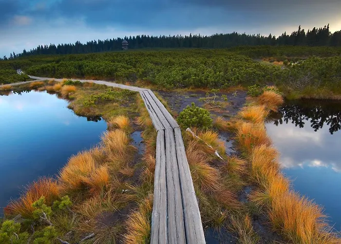 Bikeski Family Hotel, B&b, Apartaments, Mezica