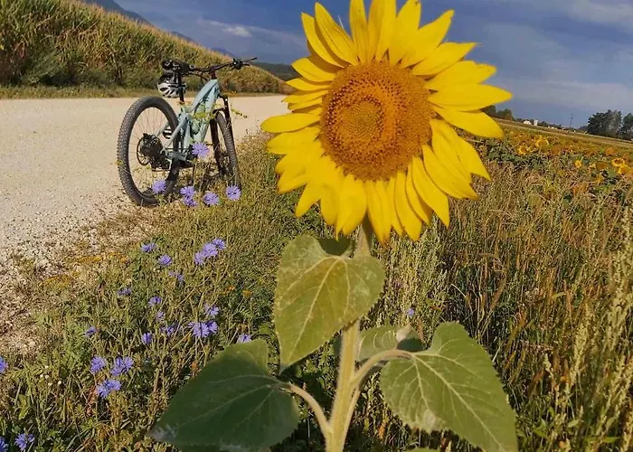 Bikeski Family Hotel, B&b, Apartaments, Mezica